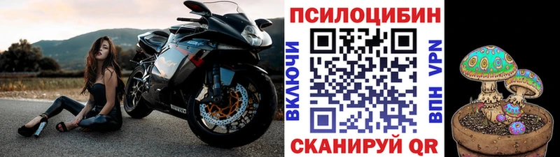 Псилоцибиновые грибы Cubensis  как найти закладки  Серов 